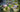Enhance Your HO Scale Layout with Realistic Scenery Kits