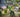 Enhance Your HO Scale Layout with Realistic Scenery Kits
