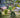 Enhance Your HO Scale Layout with Realistic Scenery Kits