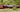High-Quality N Scale Tank and Box Cars for Layouts