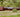High-Quality N Scale Tank and Box Cars for Layouts