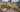 Building a Community Around Model Railroading Clubs and Online Forums