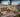 Building a Community Around Model Railroading Clubs and Online Forums