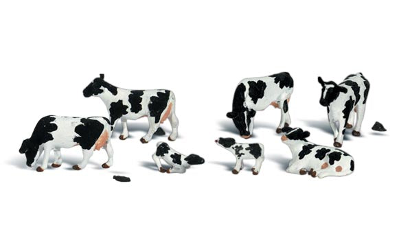 WOO A2187 N Holstein Cows